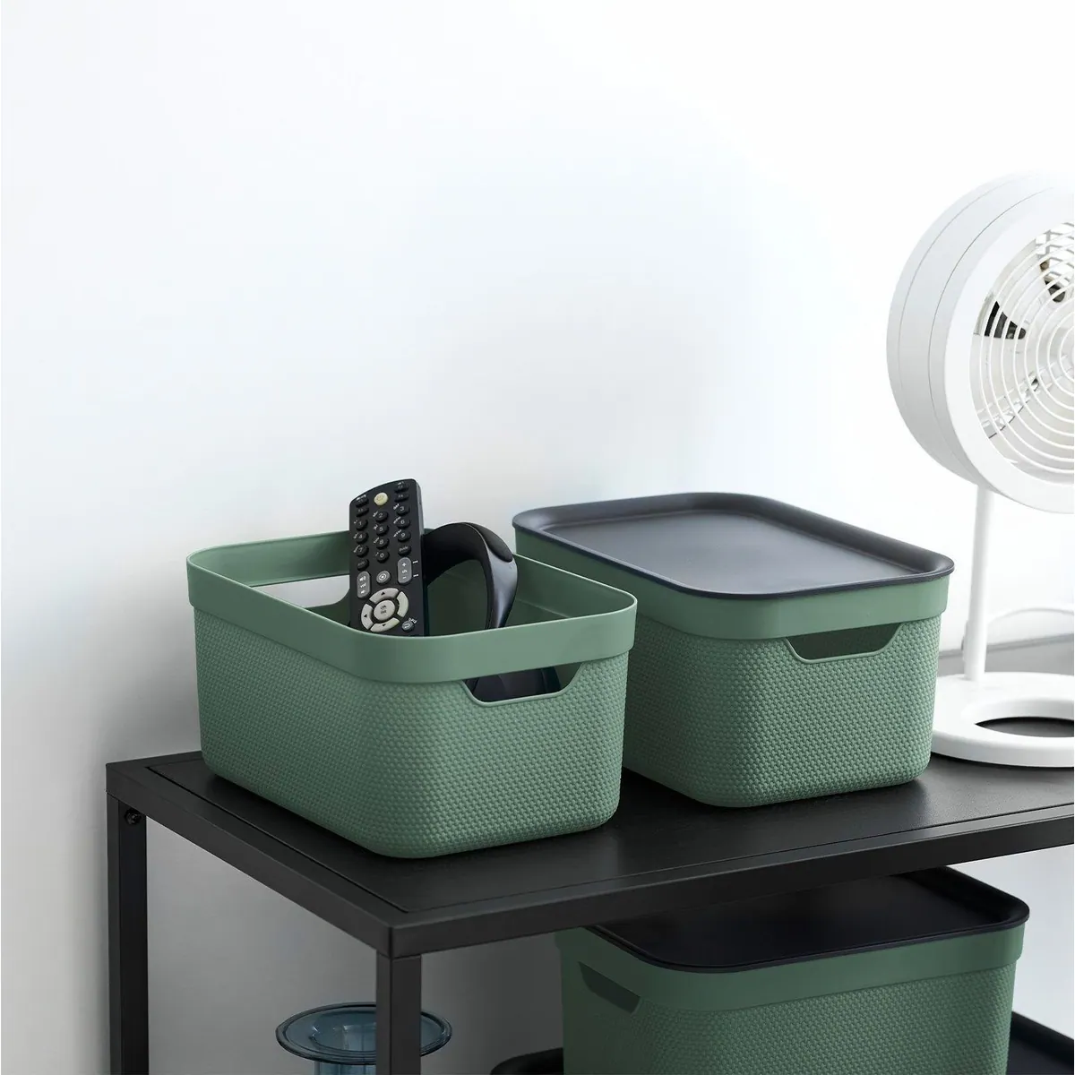 Rotho Jive Aufbewahrungsbox 3er-Set, stapelbar, 5l Volumen, farbenfroh 2