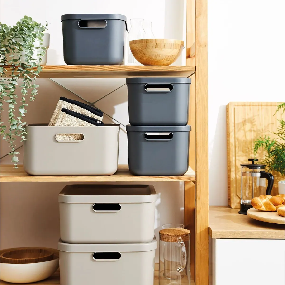 Rotho Albula Light Aufbewahrungsbox, 20 l im 2er-Set, stapelbar & designorientiert 5