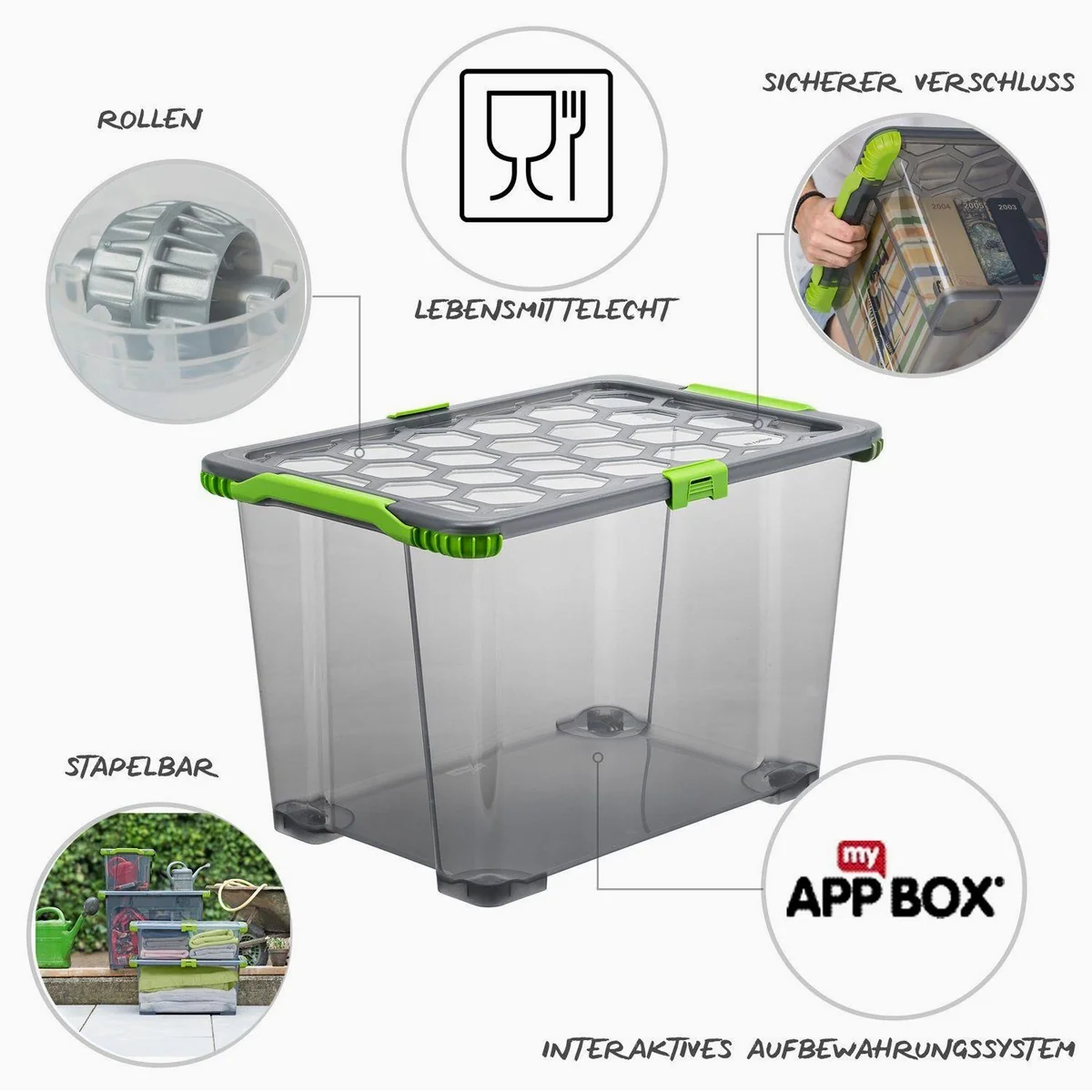 Rotho EVO Aufbewahrungsbox 3er Set, 65l, stabil und stapelbar 3