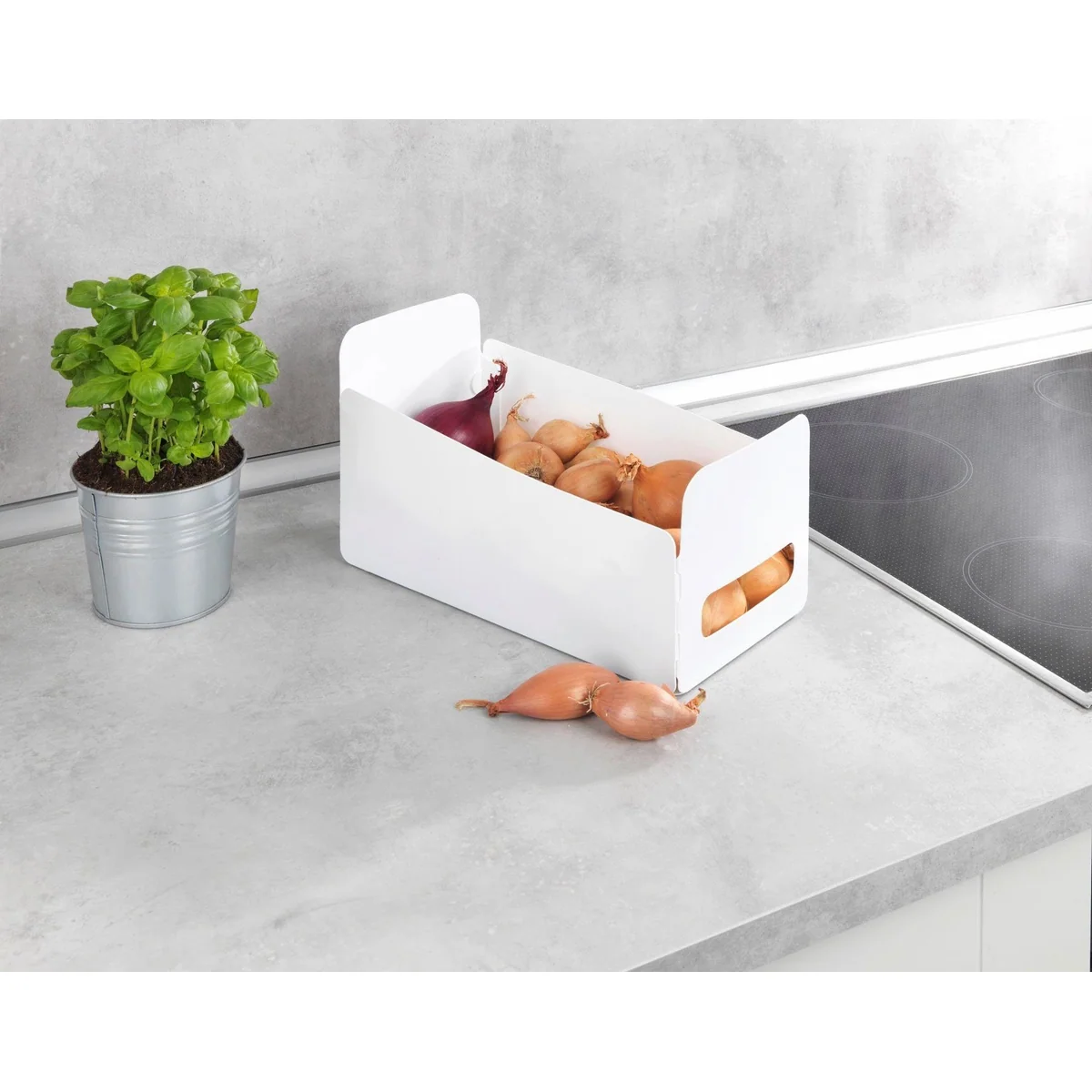 Wenko Organizer Universal Set, faltbar, vielseitig einsetzbar, Kunststoff 5
